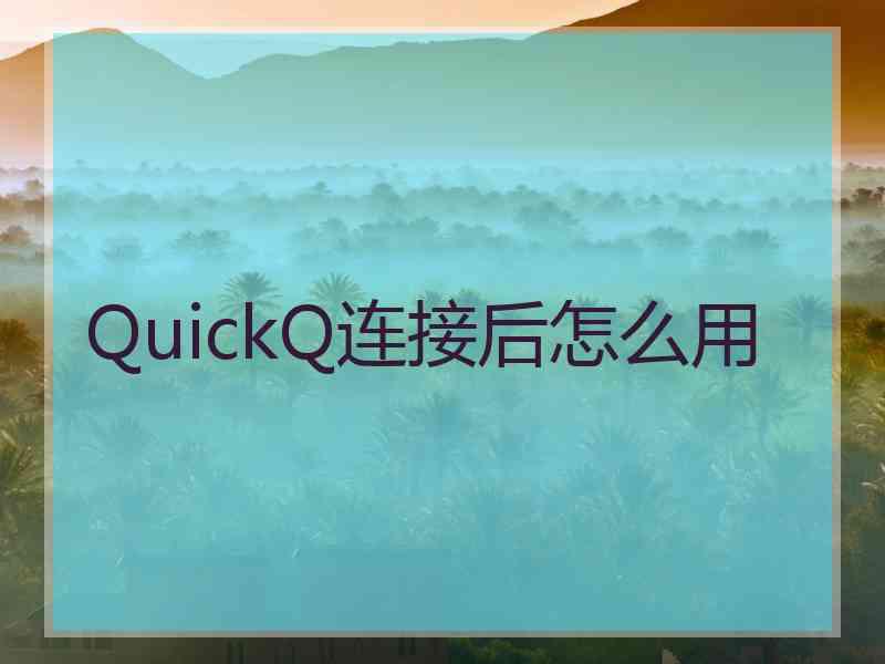 QuickQ连接后怎么用