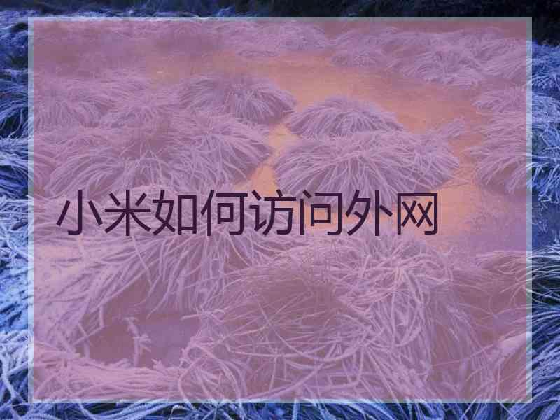 小米如何访问外网