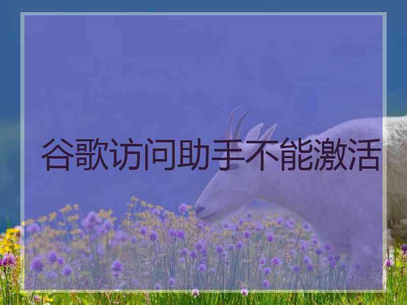 谷歌访问助手不能激活
