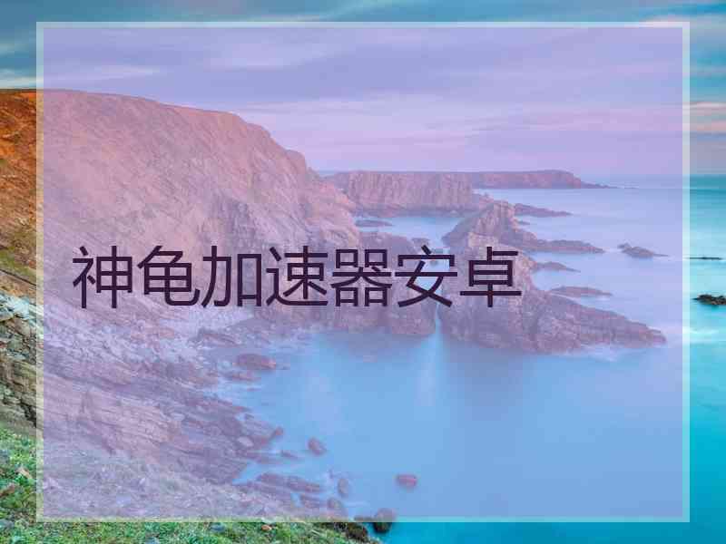 神龟加速器安卓