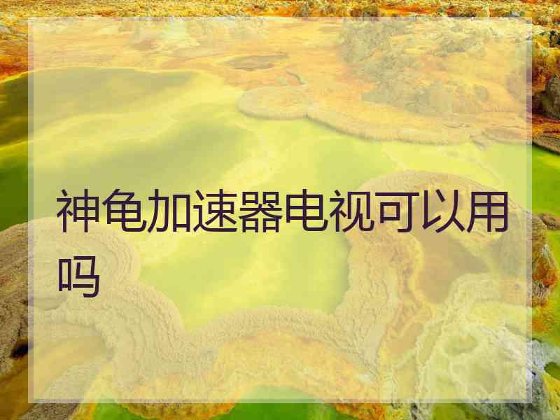神龟加速器电视可以用吗
