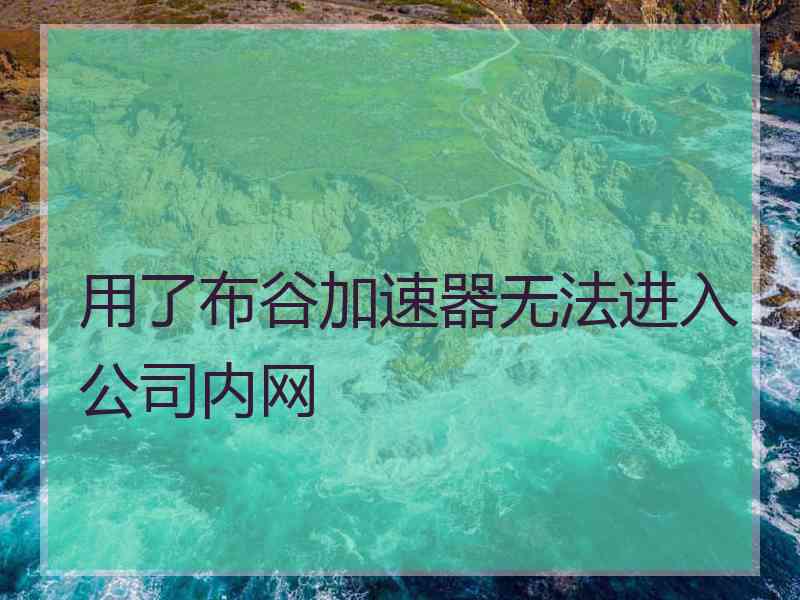 用了布谷加速器无法进入公司内网
