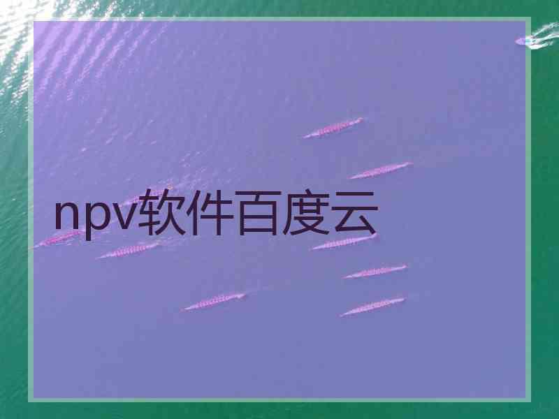 npv软件百度云