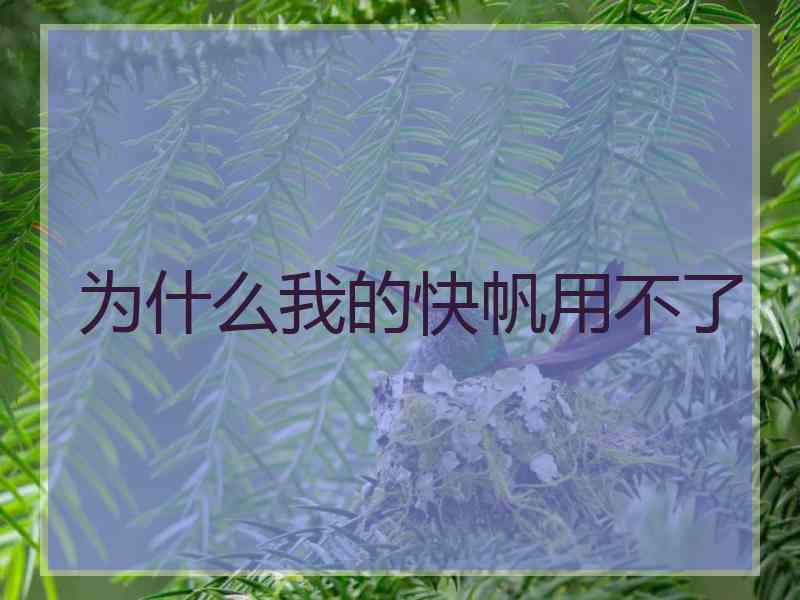 为什么我的快帆用不了