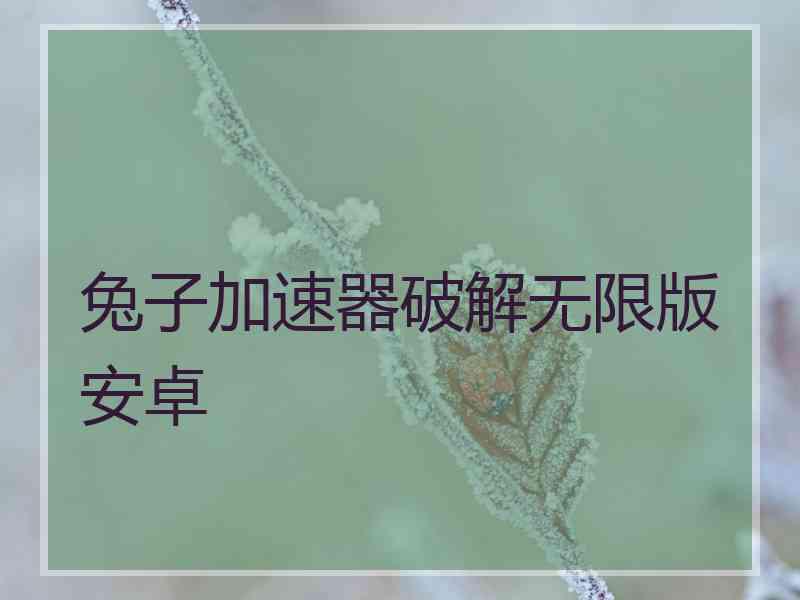 兔子加速器破解无限版安卓