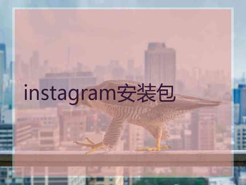 instagram安装包