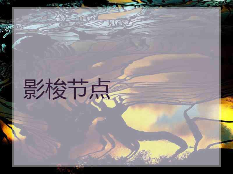 影梭节点