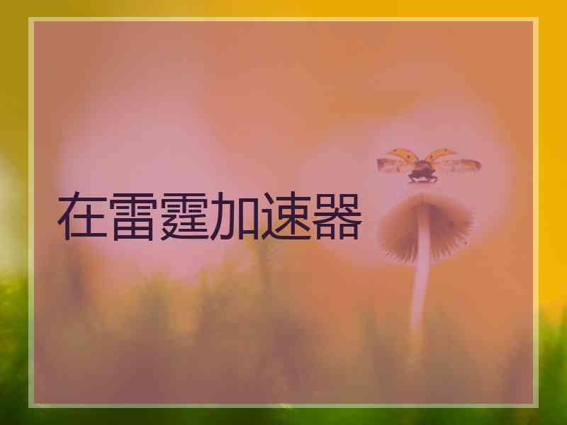 在雷霆加速器