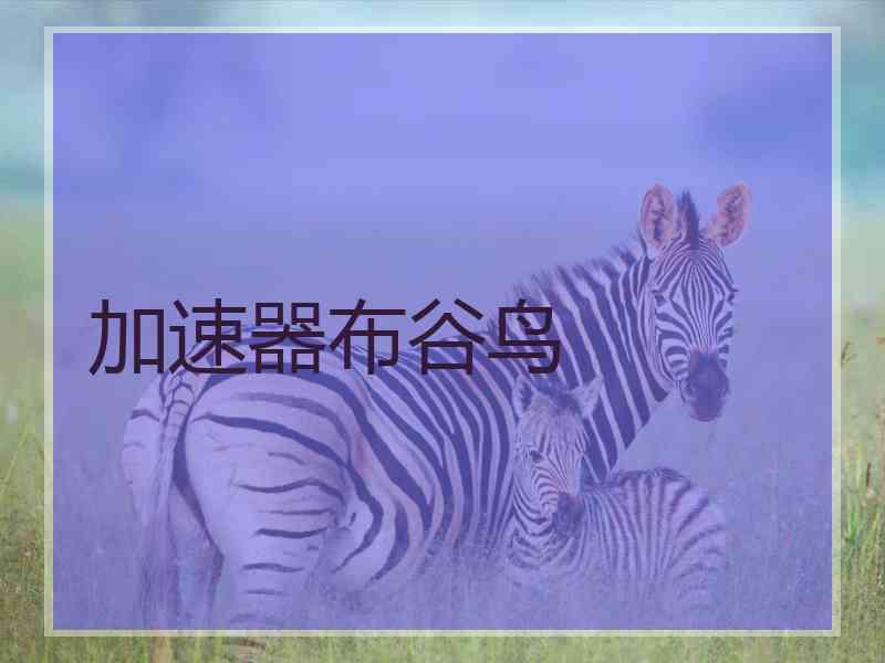 加速器布谷鸟