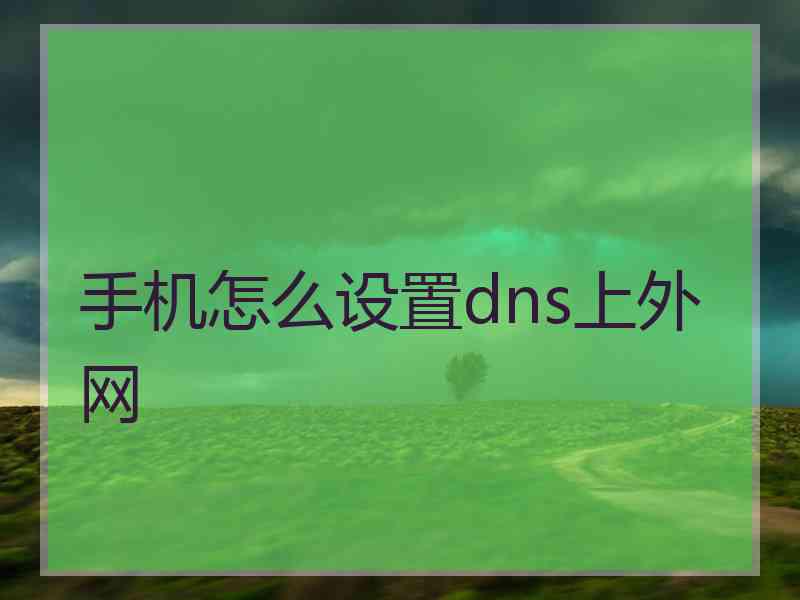 手机怎么设置dns上外网