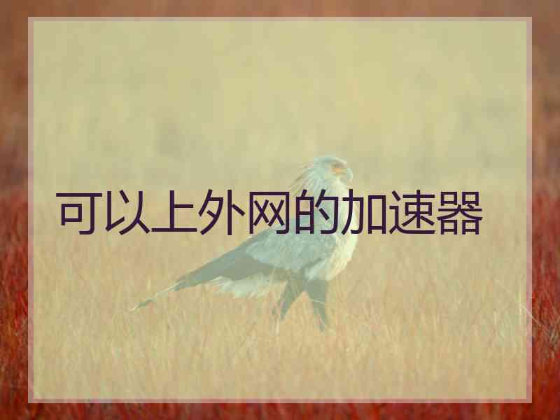 可以上外网的加速器