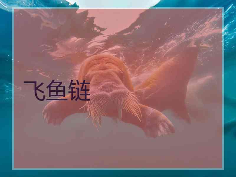 飞鱼链
