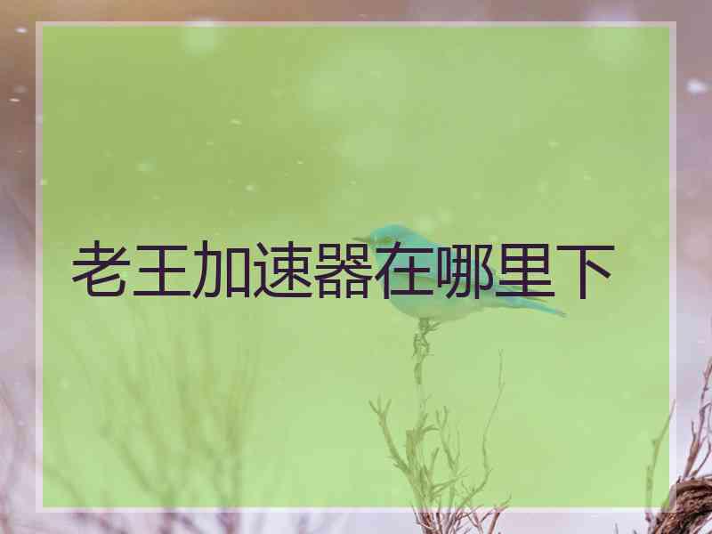 老王加速器在哪里下