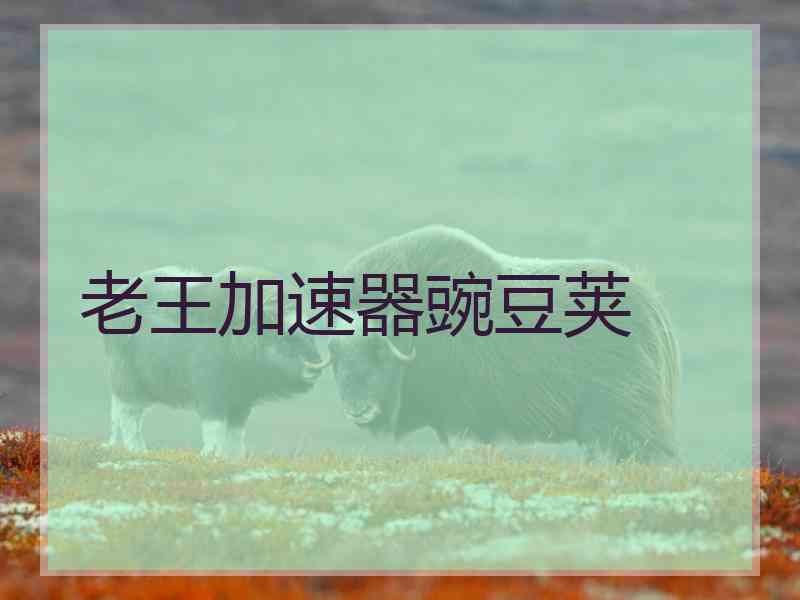 老王加速器豌豆荚