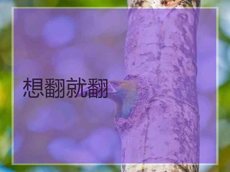 想翻就翻