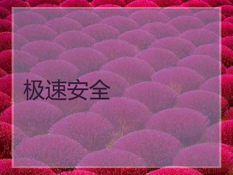 极速安全