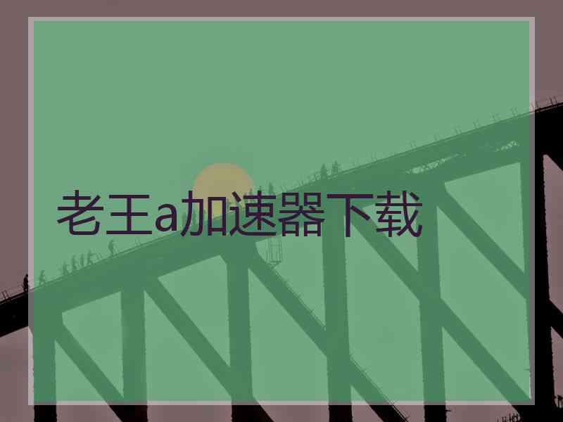 老王a加速器下载