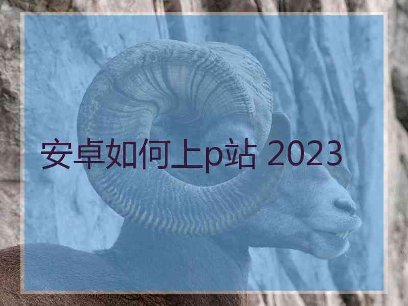 安卓如何上p站 2023