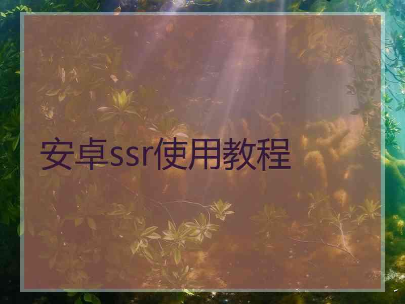 安卓ssr使用教程