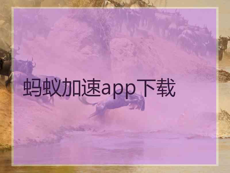 蚂蚁加速app下载