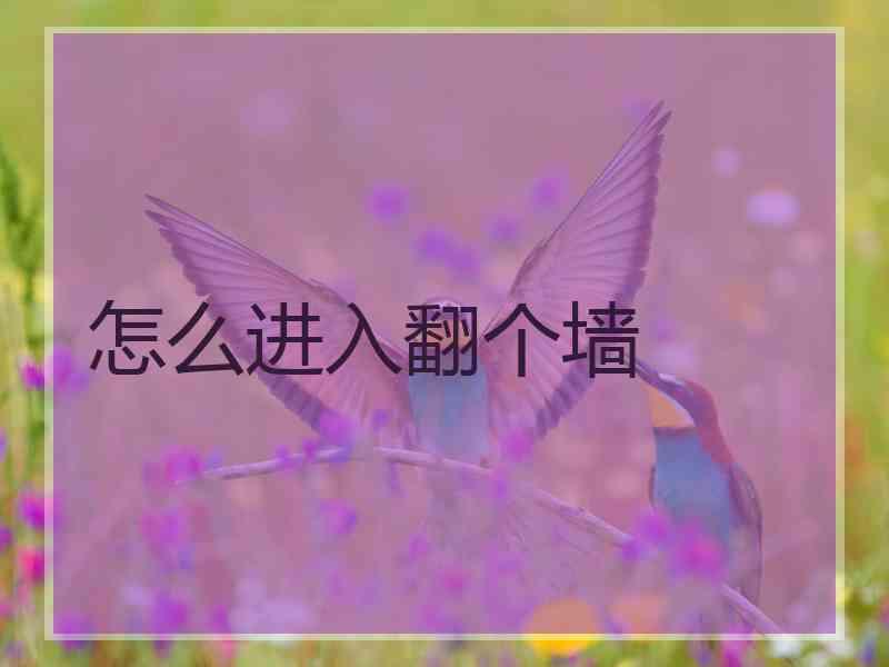 怎么进入翻个墙