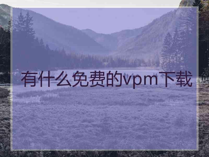 有什么免费的vpm下载