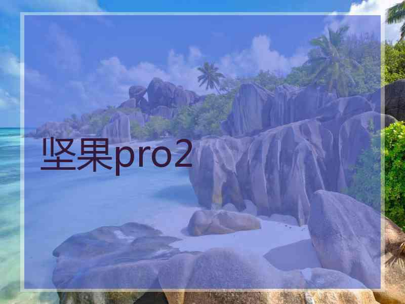 坚果pro2