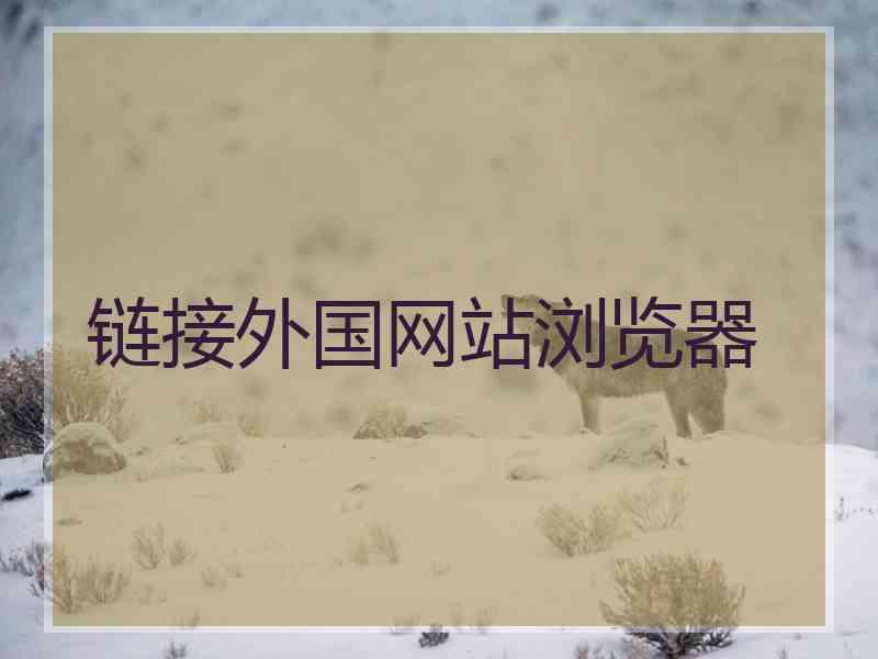 链接外国网站浏览器