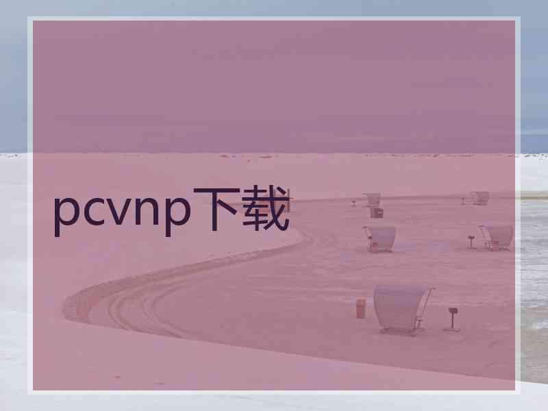 pcvnp下载