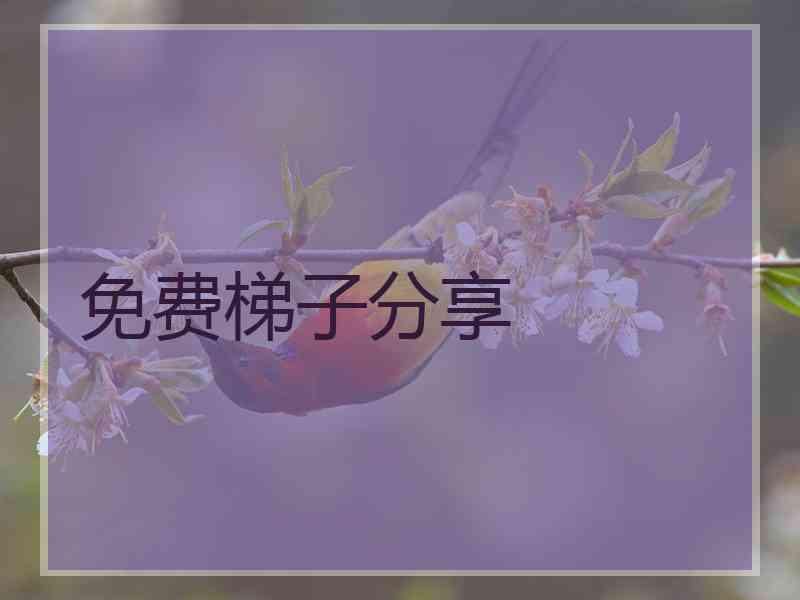 免费梯子分享