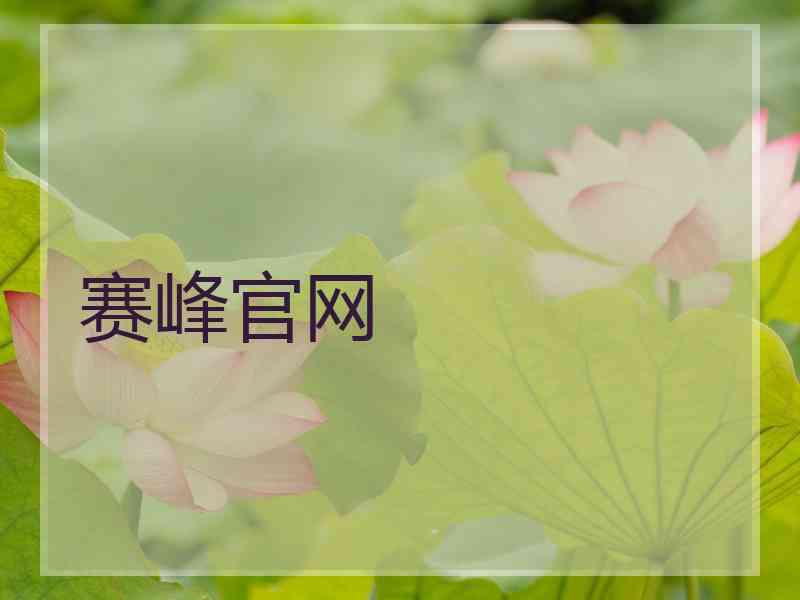 赛峰官网