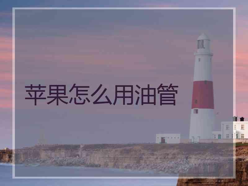 苹果怎么用油管