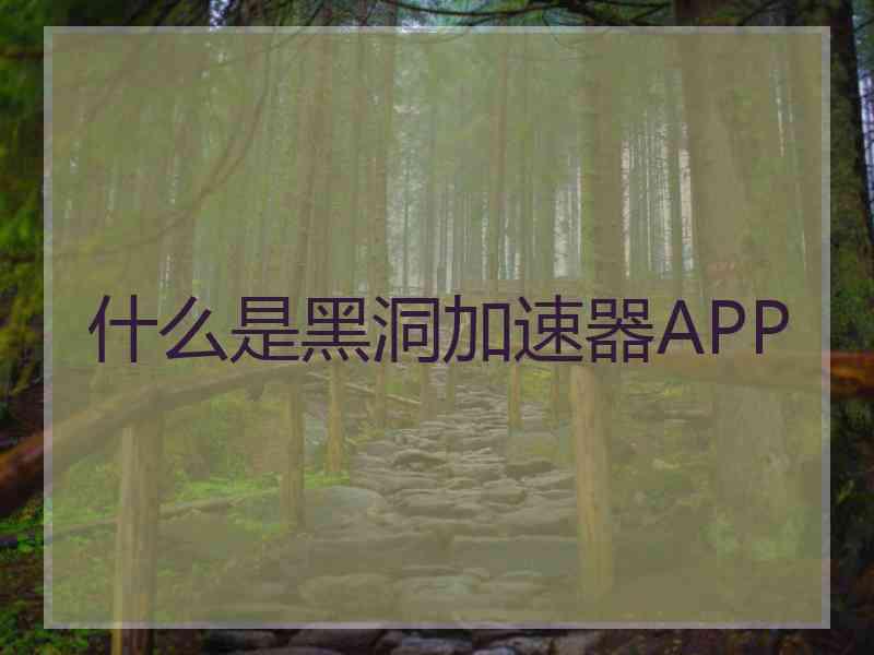 什么是黑洞加速器APP