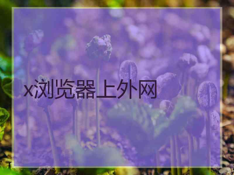 x浏览器上外网