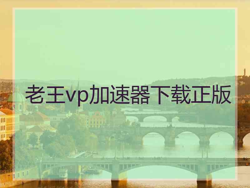 老王vp加速器下载正版