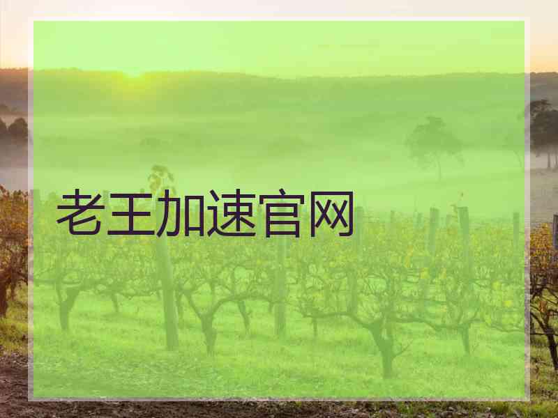 老王加速官网