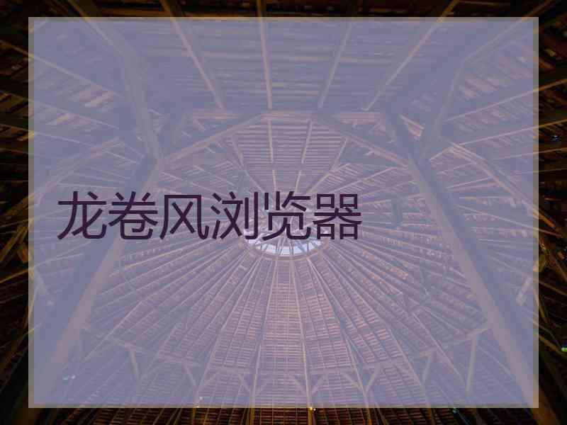 龙卷风浏览器