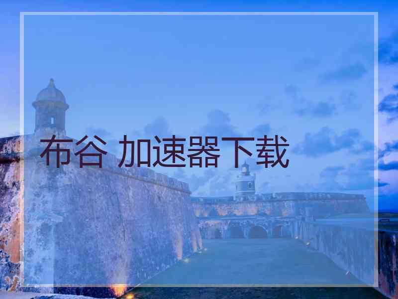 布谷 加速器下载