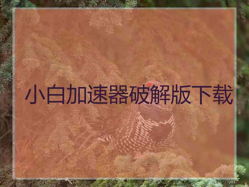 小白加速器破解版下载