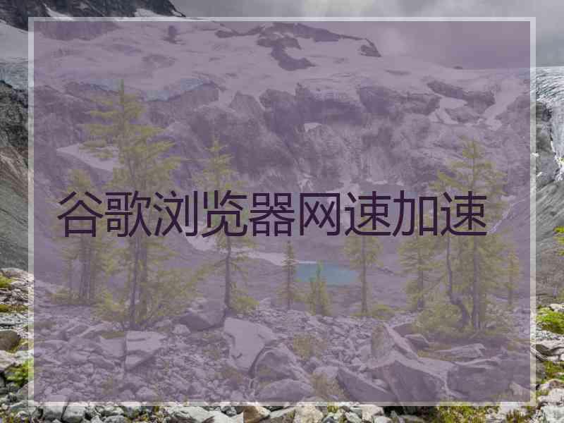 谷歌浏览器网速加速