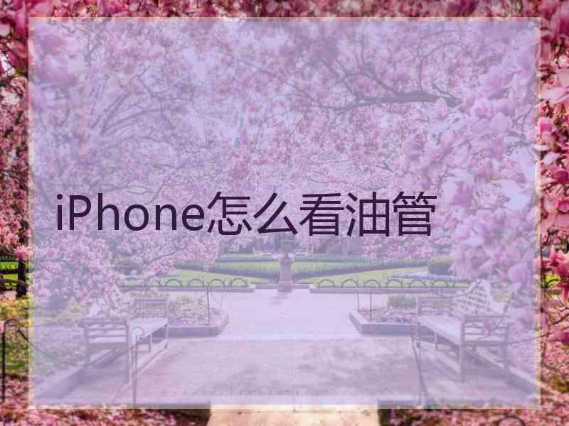 iPhone怎么看油管