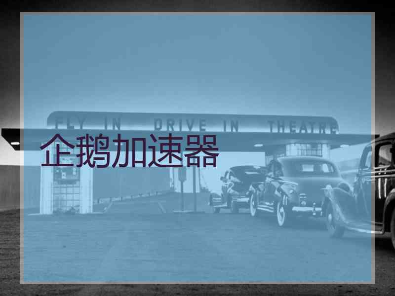 企鹅加速器