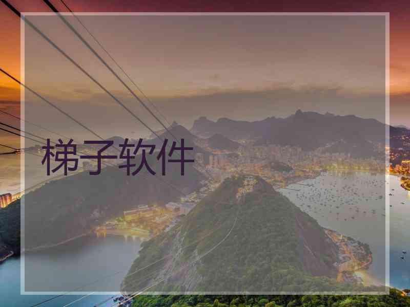 梯子软件