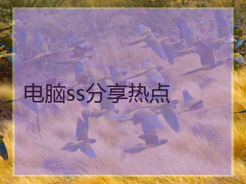 电脑ss分享热点