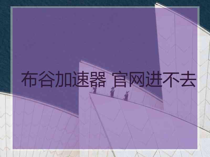 布谷加速器 官网进不去