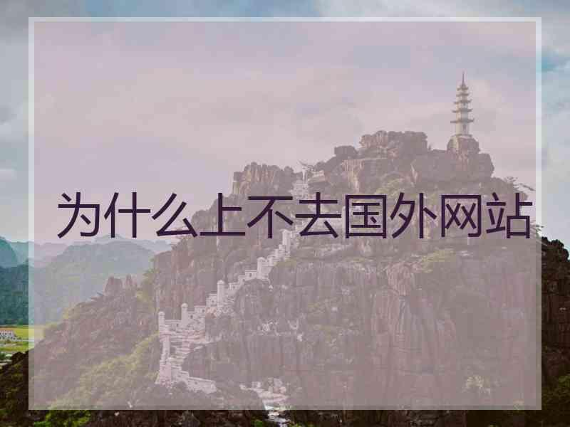 为什么上不去国外网站