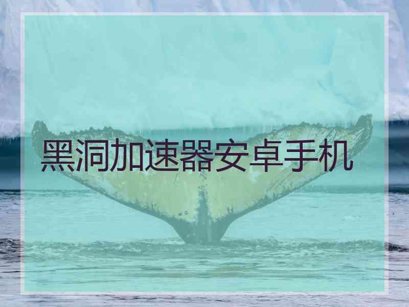 黑洞加速器安卓手机
