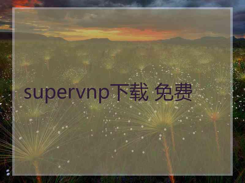 supervnp下载 免费