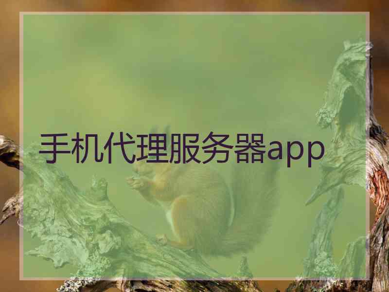 手机代理服务器app