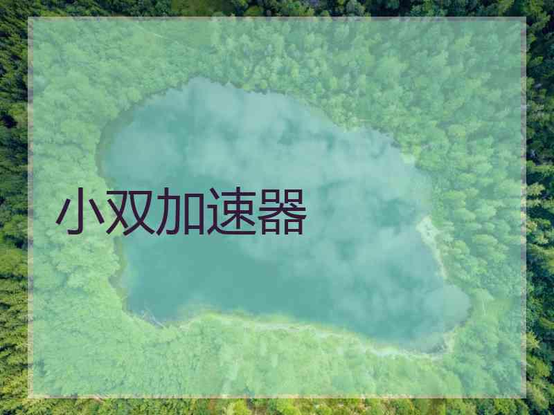 小双加速器